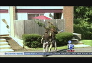Action News at 4pm : WPVI : September 30, 2014 4:00pm-5:01pm EDT