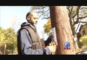 Action News at 4pm : WPVI : November 3, 2014 4:00pm-5:01pm EST